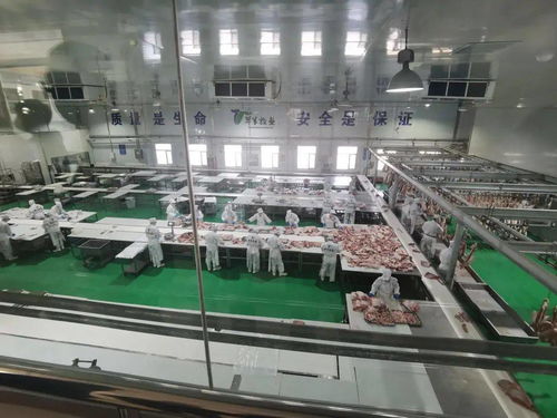 電子商務進牧區，郵政企業有話說